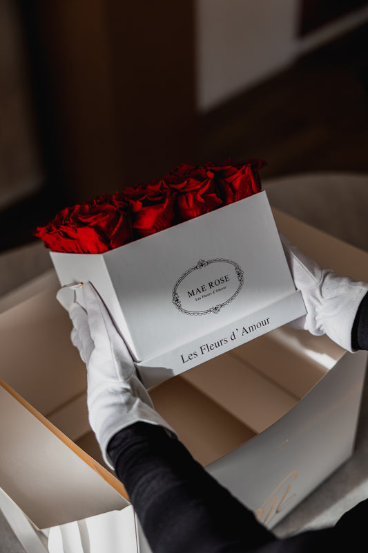 Small Square Classic White