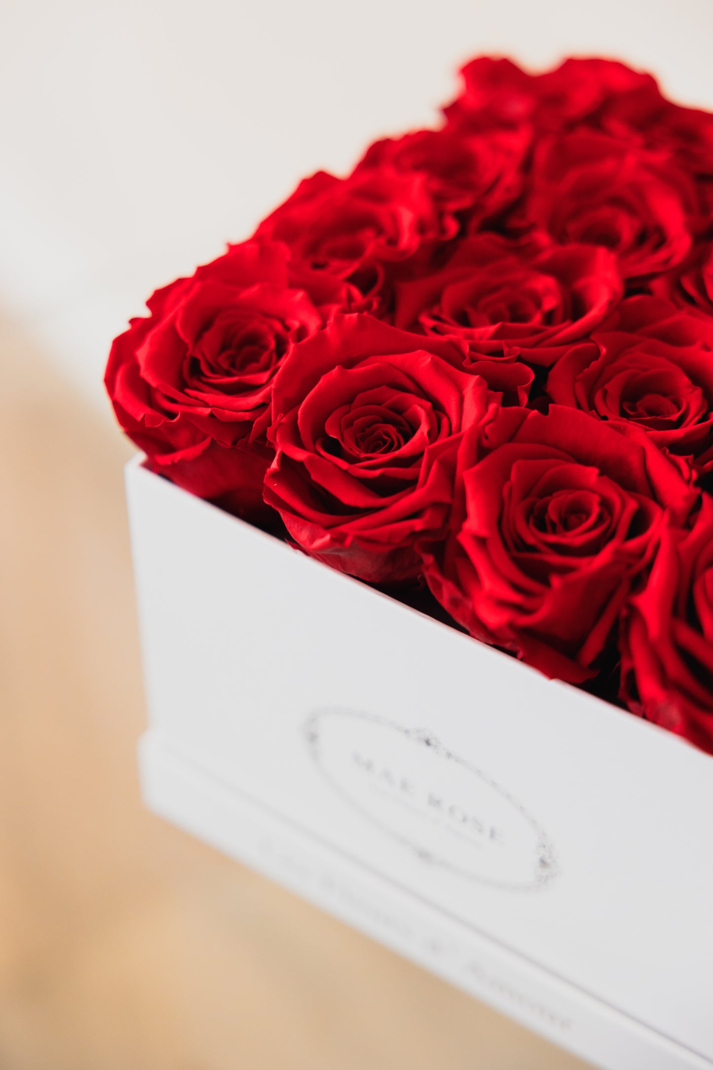 Small Square Classic White