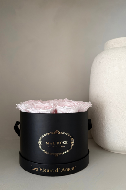 Lumé Classic Black Light Pink