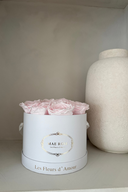 Lumé Classic White Light Pink