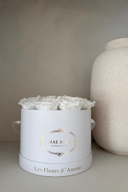 Lumé Classic White White