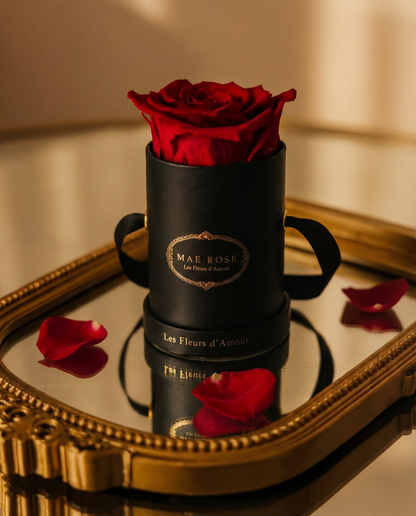 Single Rose Classic Black