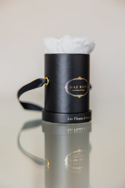 Single Rose Classic Black