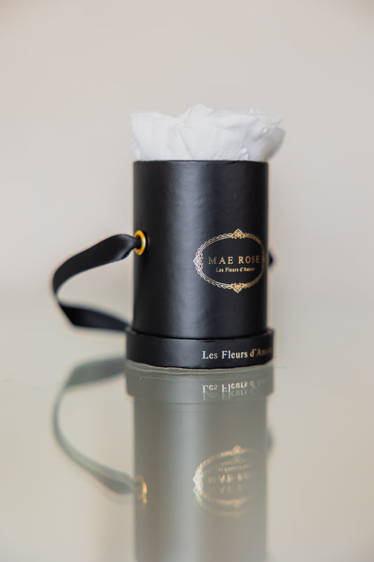 Single Rose Classic Black