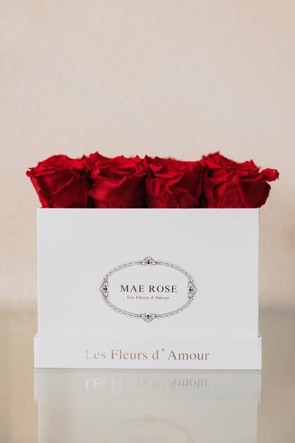 Small Square Classic White