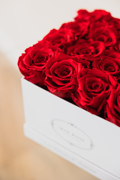 Small Square Classic White