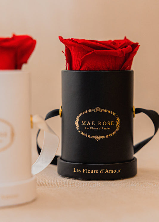 Single Rose Classic Black