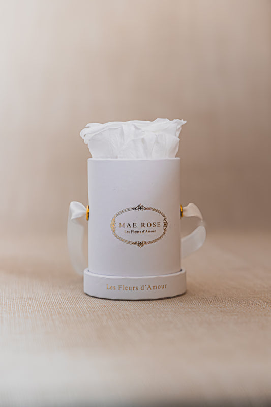 Single Rose Classic White